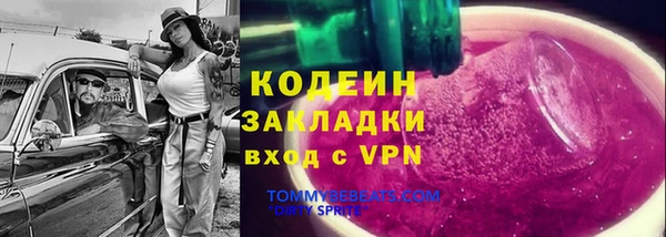 стафф Коряжма