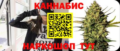 прущие крисы Гатчина