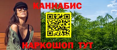 прущие крисы Гатчина